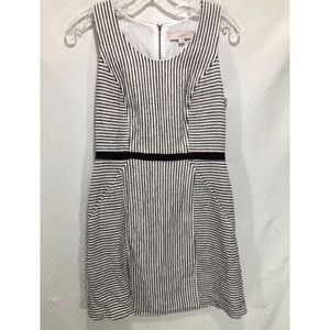 Ann Taylor Loft White and black Dress.  Size 4.